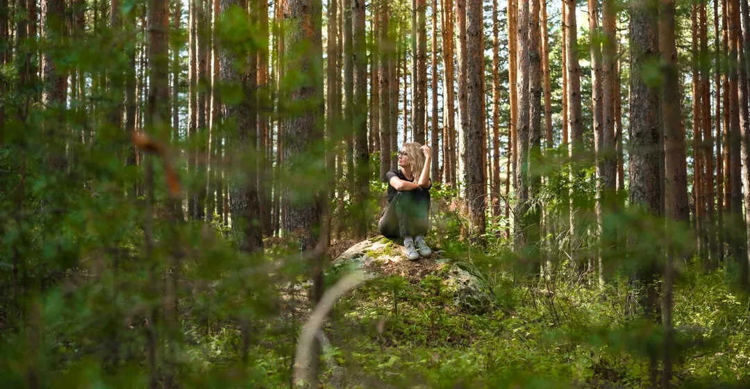 Forest Bathing Meets Celtic Tree Wisdom: A Guide to Deep Tree Connection