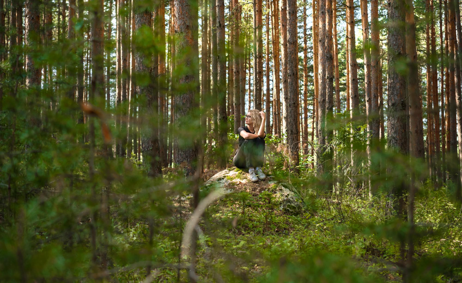 Forest Bathing